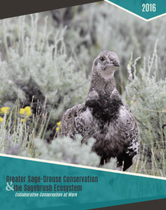 Greater Sage-Grouse Conservation & the Sagebrush Ecosystem - Collaborative Conservation at Work (2016)