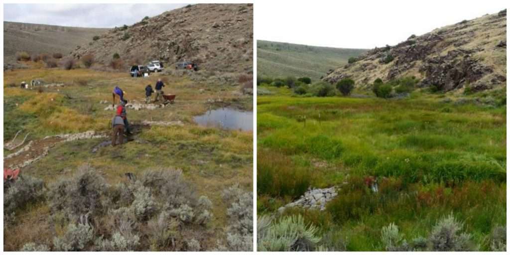 With strategic restoration and conservation strategies, we can enhance precious water resources, like this wet meadow in the Gunnison Basin of Colorado. Photos: Claudia Strijek