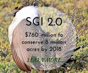 SGI 2.0 photo ken miracle - homepage tile