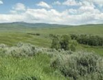 This sagebrush-steppe ecosystem in Colorado is perfect habitat for Gunnison sage grouse, as well as a host of other wildlife.