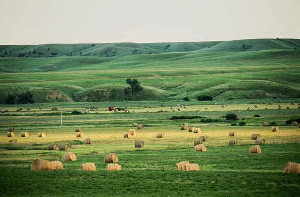 green-acres-615x405