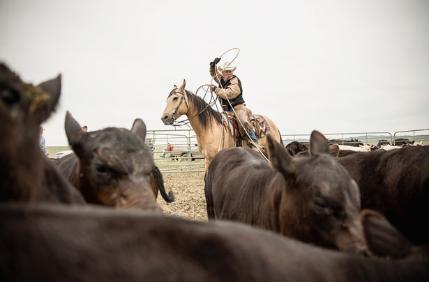 roping-and-riding-615x405