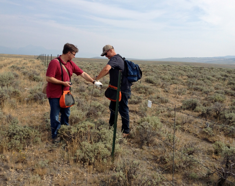 NAVHDA members Dean Orosz of Saskatoon, Saskatchewan, and Dean Stainberg of Redding, California, hang fence markers near a sage grouse lek, outside of Wisdom, Montana (Photo Tom Heely)