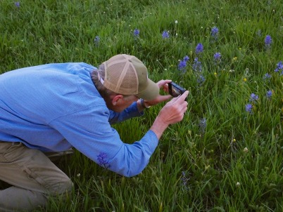 photographingwildflowers-miracle-402