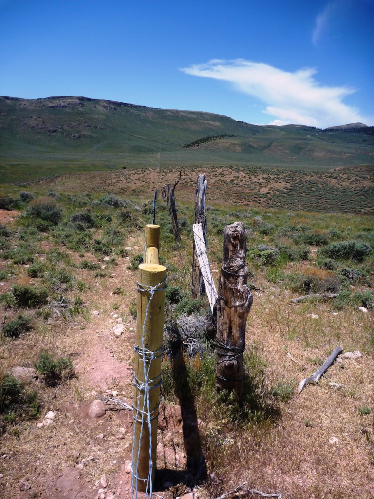 The new and old fence---the new fencing is wildlife-friendly. (photo Brandon Miller, NRCS)