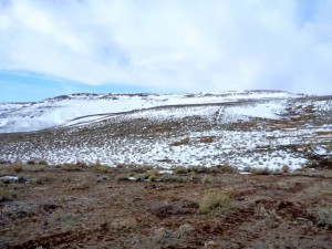 The winter scene shows the treeless sagebrush-steppe that resulted from the juniper removal project -- now excellent habitat for sage grouse and other wildlife, like elk, sharing the range. (NRCS photo)