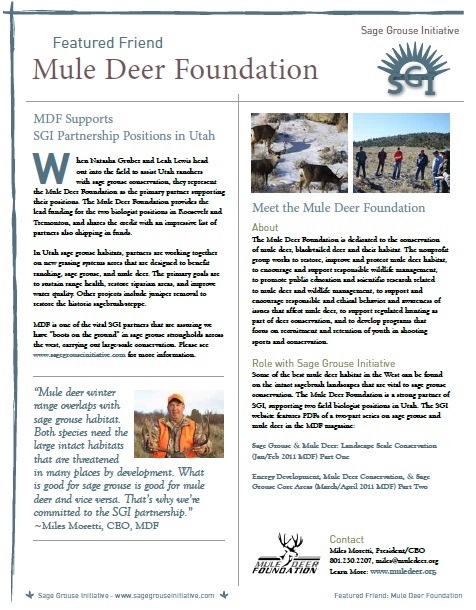 mule deer FF