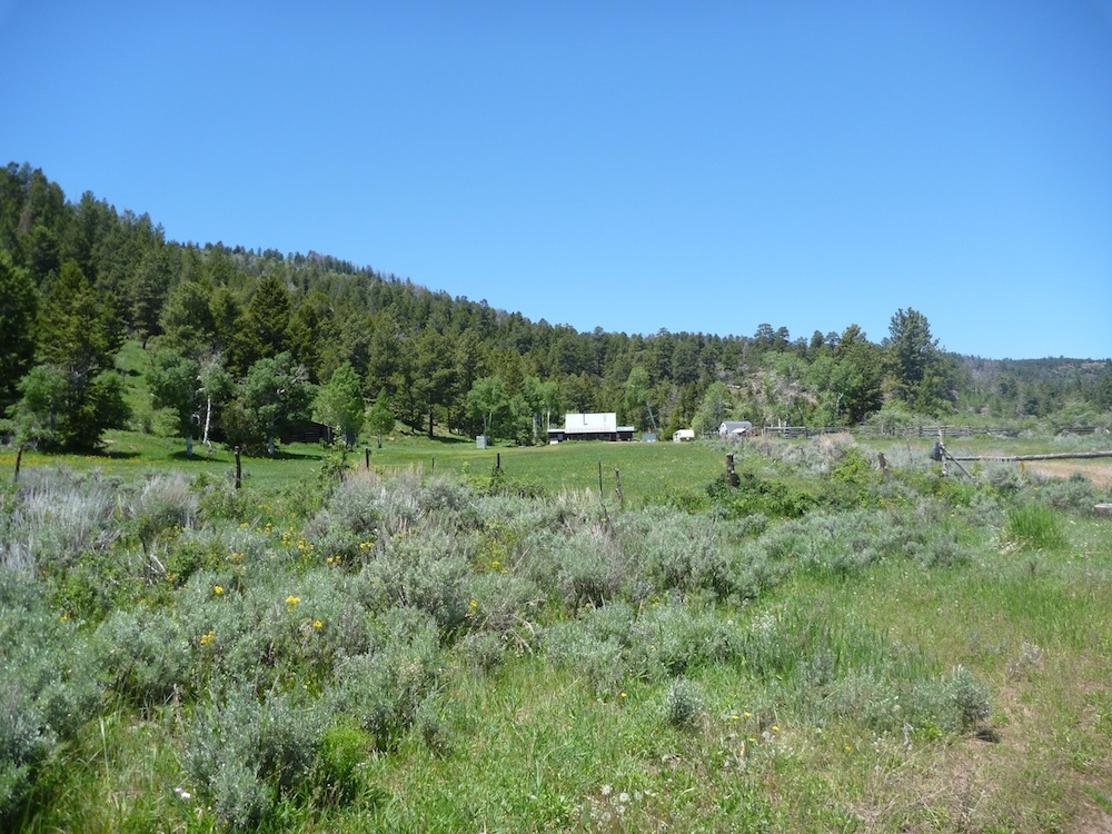 Dawn Nottingham's ranch is tucked away in an isolated beautiful part of Douglas Mountain. (Photo Brandon Miller, NRCS)