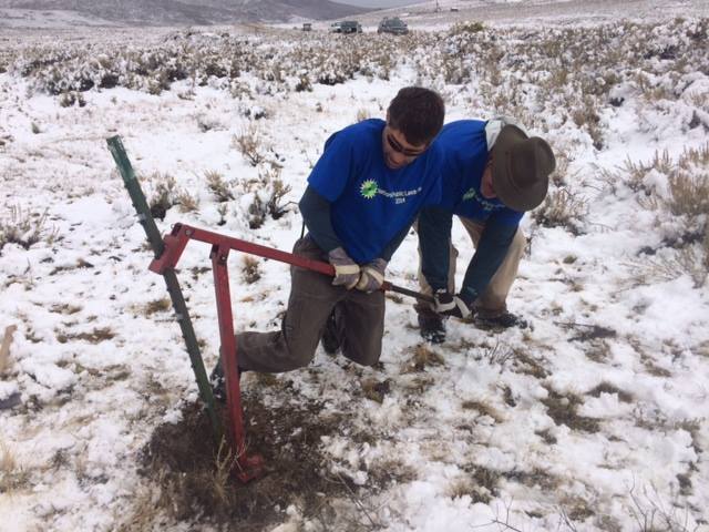 Some of the T-Posts were hard to remove, so the plan is to go back after a spring thaw to remove the stubborn ones--another volunteer opportuniiy with the Bodie Hills Conservation Partnership. (Photo: Caara Fritz Hunter{