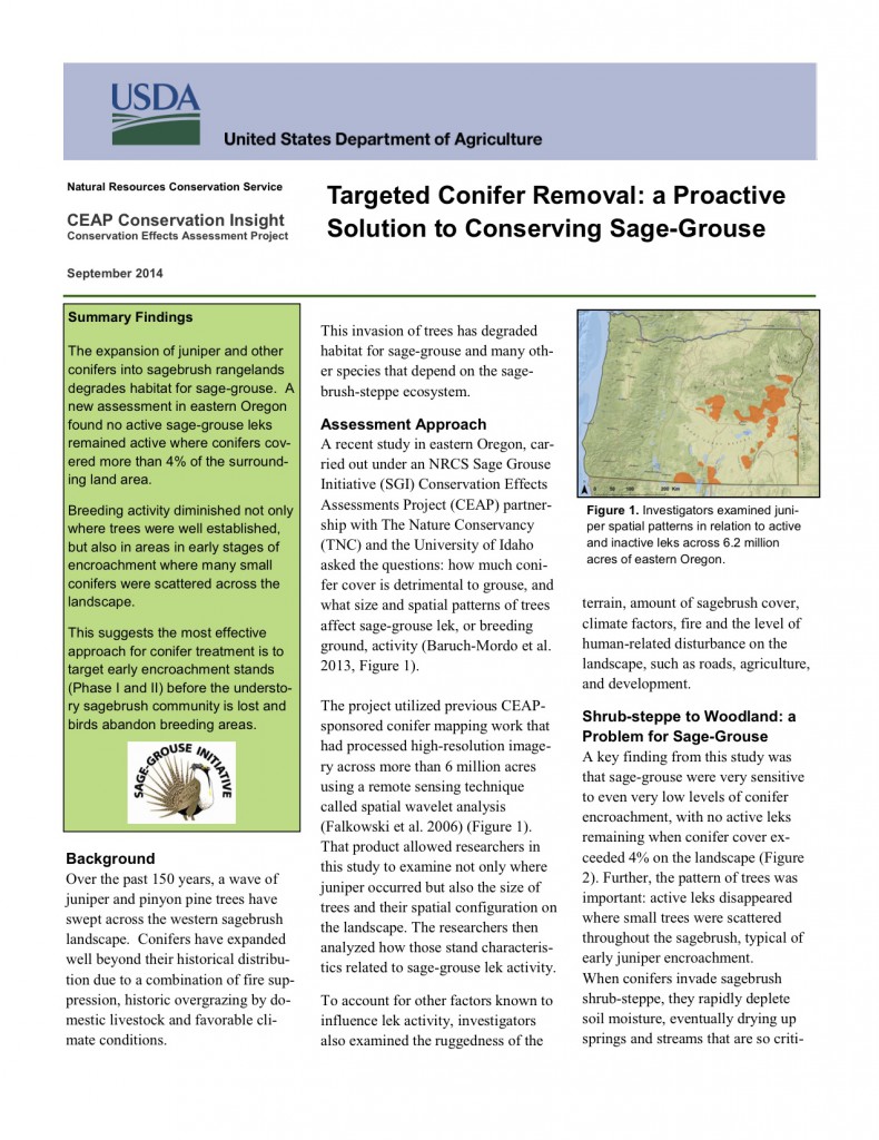 CEAP-coniferremoval