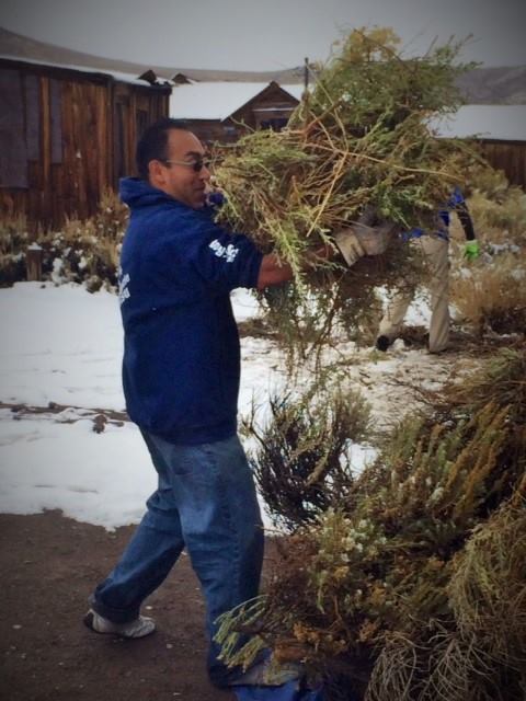 Volunteers remove brush from around historic buildings to protect them from fire. (Photo: Caara Fritz Hunter_