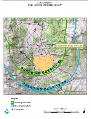 Sage grouse populations are robust around the Masini Ranch, as evidenced by a map of leks near the ranch. The birds nest outside the ranch property in the spring and then spend the summer raising their young in the irrigated meadows on private land.