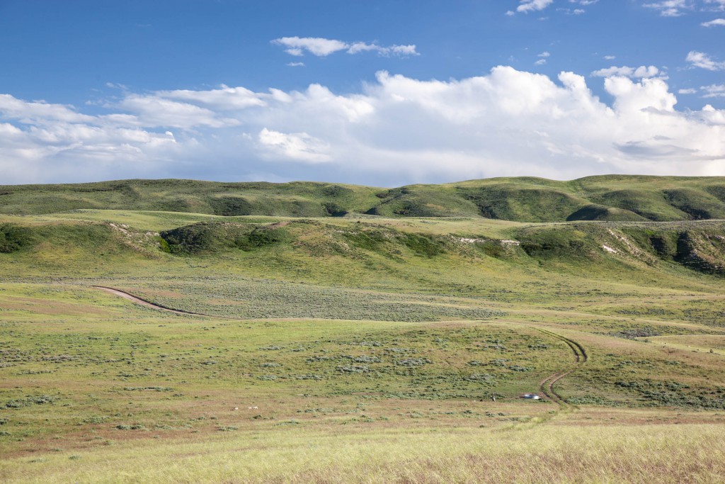 Cross Mountain Ranch see-forever sage grouse habitat. @John Fielder