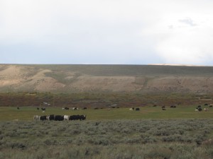 Working lands are compatible with wildlife needs, especially when large landscapes stay intact.