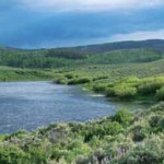wet areas vital for sage grouse in summer