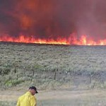 science to solutions - wildfire and cheatgrass control