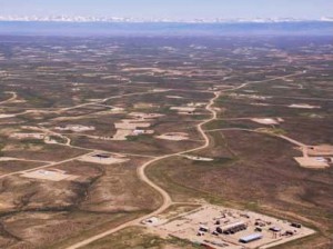 wyoming development threatens sage grouse