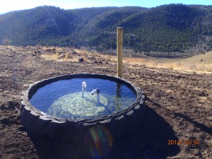 stock tank with tire on colorado ranch