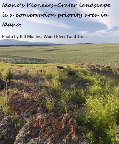 sage grouse initiative works in the Pioneers-Crater landscape in Idaho.