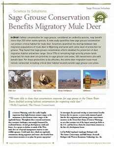 mule deer science to solutions - low res