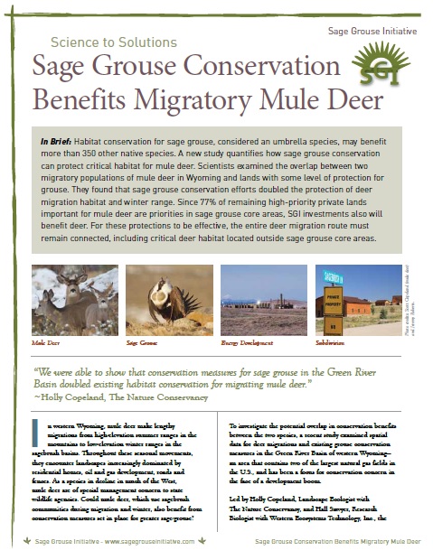 mule deer science to solutions - low res
