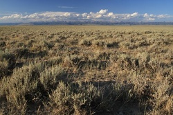 Mapping Potential Ecosystem Resilience and Resistance across Sage-Grouse Range using Soil Temperature and Moisture Regimes