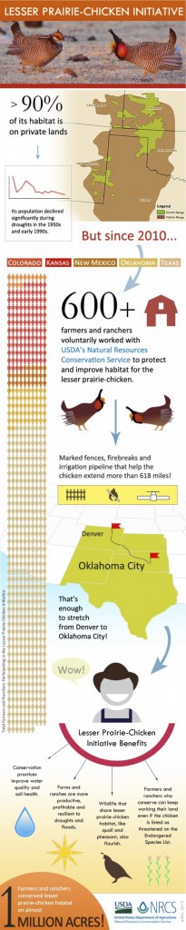 LPCI_infographic