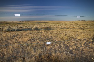Clearly marked fences prevent sage grouse collisions. Photo by Jeremy R. Roberts, Conservation Media.