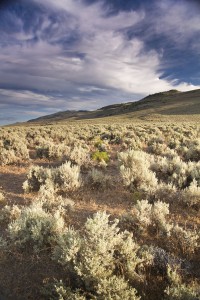 The wide open sagebrush sea. Photo by Jeremy R. Roberts of Conservation Media.