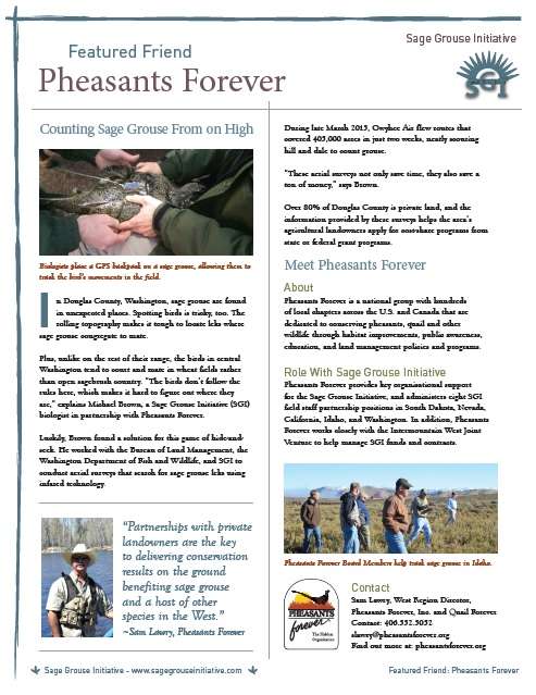 FF - pheasants forever photo