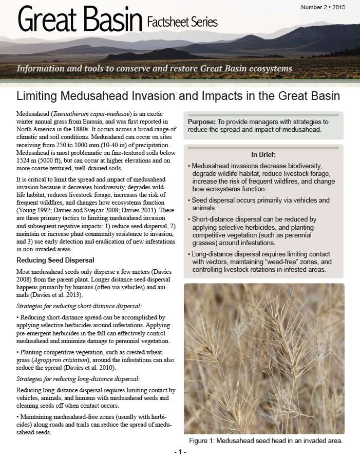 GB factsheet 2 pic