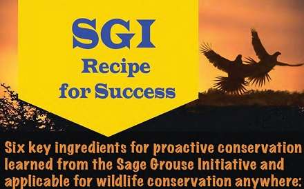 Ingredients for conservation success include: trust and credibility, shared vision, accountability, strategic approach, leverage, and regulatory predictability.