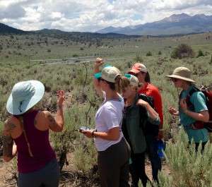 A student from Cal Poly San Luis Obispo gives telemetry a try, as experts from the BLM Bishop Field office provide some tips.