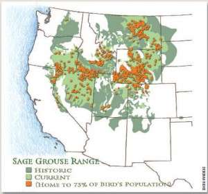 map of sage grouse range