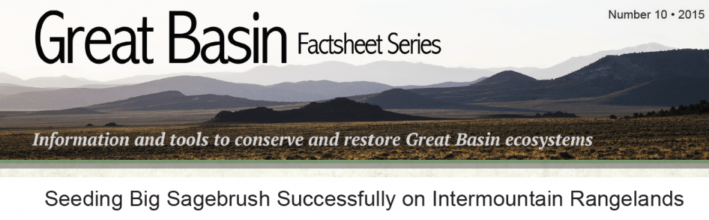 Seeding big sagebrush