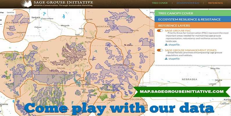 reference layers for sage grouse map - twitter