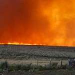 Flames racing across sagebrush