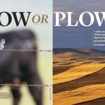 cow or plow MT outdoors