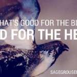 SGi is good for the bird and good for the herd