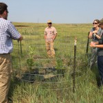 Partners in South Dakota work on range management practices that restore and conserve the sagebrush steppe.