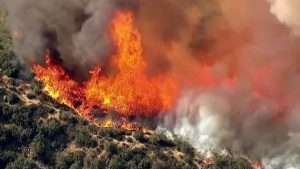 wildfire west ABC news