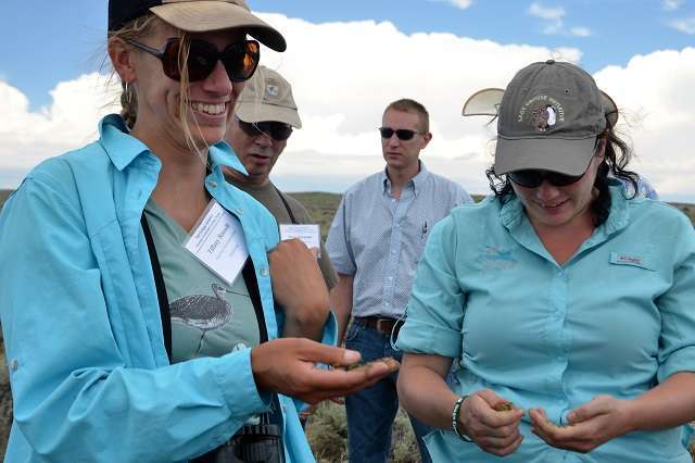 A few of SGI's Strategic Watershed Action Team get their hands dirty to test the soil in eastern Montana.