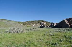 Conifer removal projects on the ranch open up more habitat for wildlife like sage grouse.
