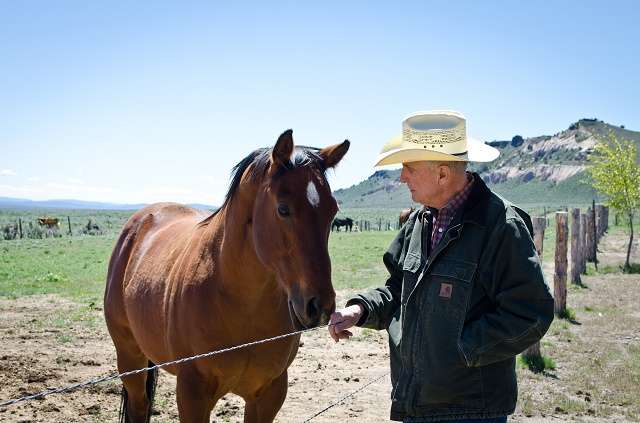 Tony, a veteran of the Marines, loves animals.