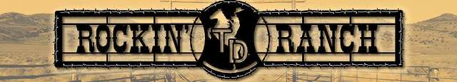 rockin td ranch logo
