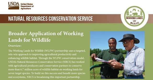 wlfw fact sheet