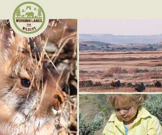 working lands for wildlife
