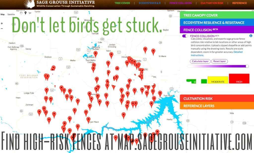 fence collisions sage grouse map data