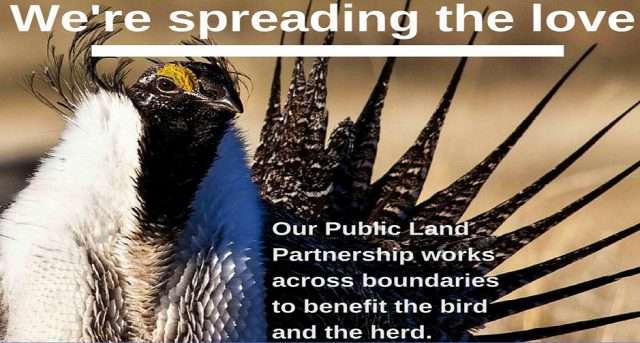 plp announce SGI tw