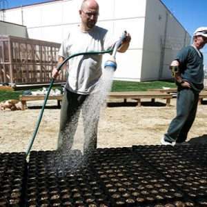 Inmates at Idaho State Correctional Center water and care for 60,000 sagebrush and bitterbrush seedlings